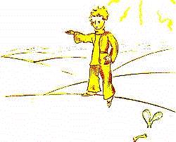 ⋅